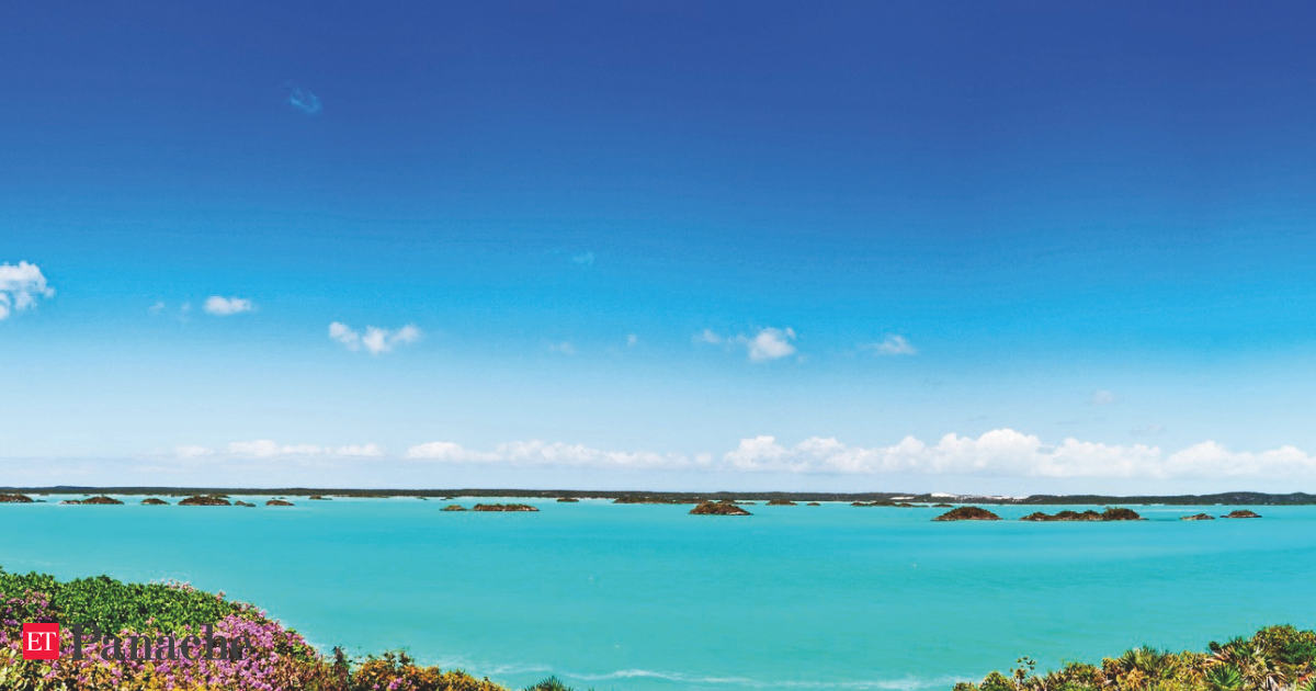 Opulent odysseys: Top business leaders share their ultimate luxury travel experiences